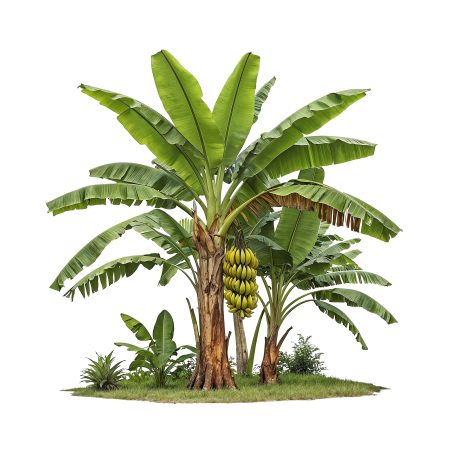 Yashashv™ Wall Stickers – Green Home Collection | Tropical Palm Tree Wall Decal | Peel & Stick Botanical Plant Wall Decor for Bedroom, Living Room & Office